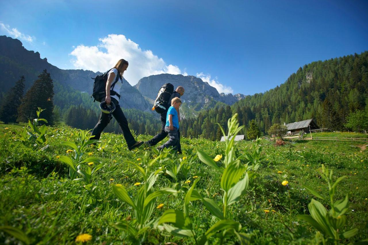 Bikeski Family Hotel, B&B, Apartaments, Rooms Mezica Luaran gambar
