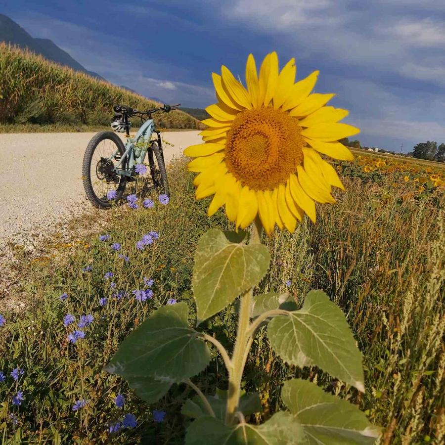 Bikeski Family Hotel, B&B, Apartaments, Rooms Mezica Luaran gambar